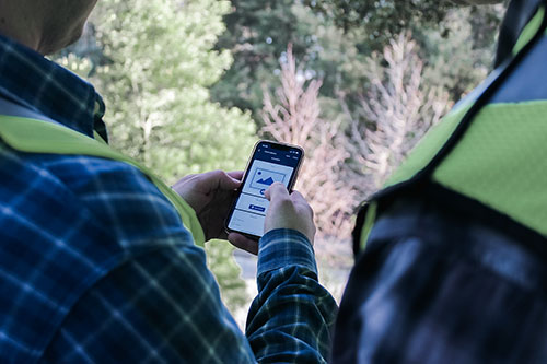 forestry-ux-field-worker-eskuad-app.webp
